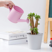 Plastic watering can for green plants to water flowers